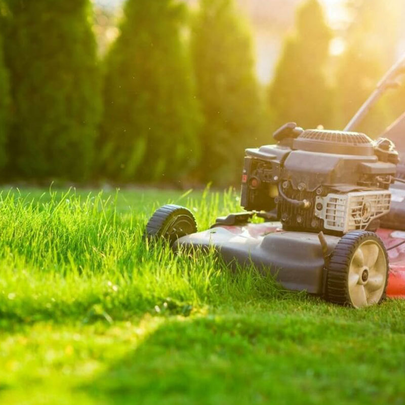 https://franklinlandscapenj.com/wp-content/uploads/2024/02/Lawn-Care.jpg