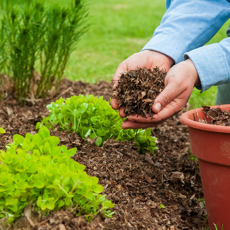 https://franklinlandscapenj.com/wp-content/uploads/2024/02/Mulching.jpg