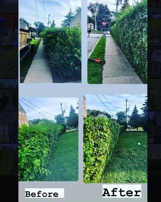 Franklin Landscape LLC g19 before and after