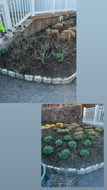 Franklin Landscape projects 02