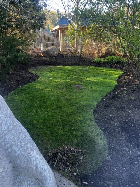 Franklin Landscape projects 05