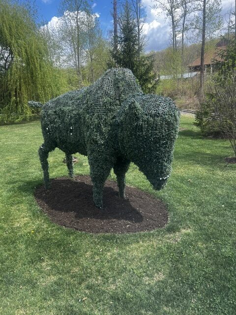 Franklin Landscape projects 06